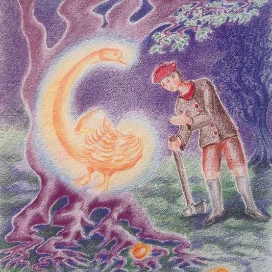 LMNOP and All the Letters from A to Z Laminated Wall Cards